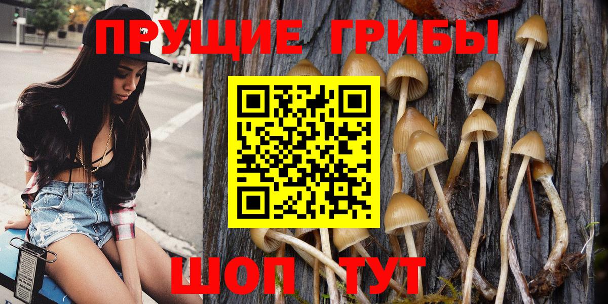 Красногорск  Псилоцибиновые грибы Cubensis  Псилоцибиновые грибы GOLDEN TEACHER  Вход с VPN 